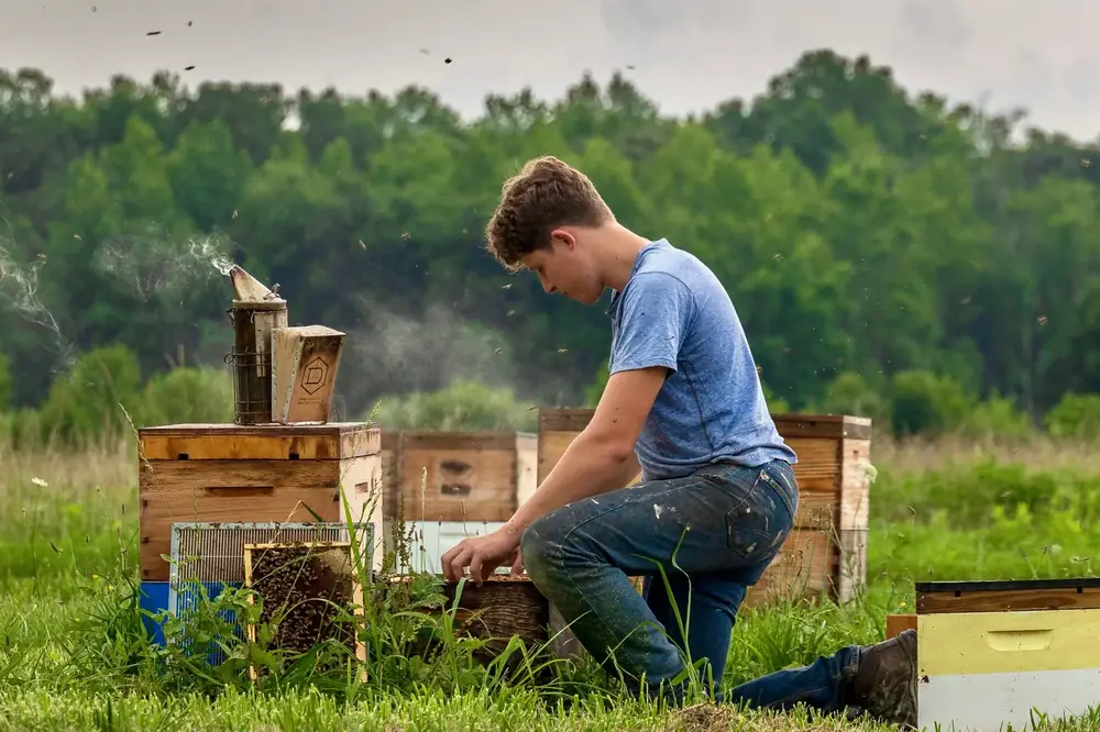 Aaron, the B Squared Farms beekeeper, caring for honey bees in a South Jersey bee yard