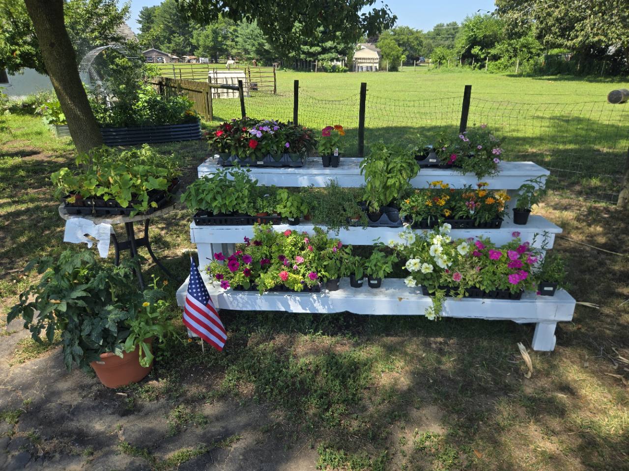 B Squared Farms self-serve honey stand #3 in Pedricktown NJ, photo 2